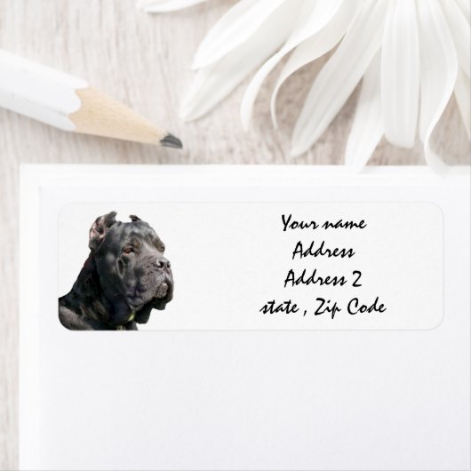Cane corso-adresetiketten etiket (Insitu)