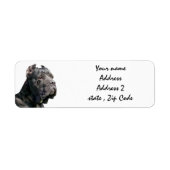 Cane corso-adresetiketten etiket (Voorkant)