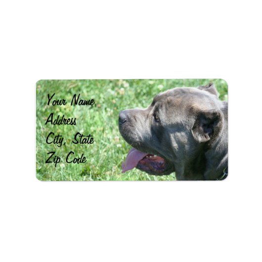 Cane Corso Adresetiketten Etiket (Voorkant)