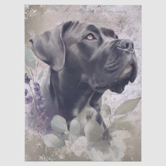 Cane Corso Bloemenhond Tissuepapier (Voorkant)