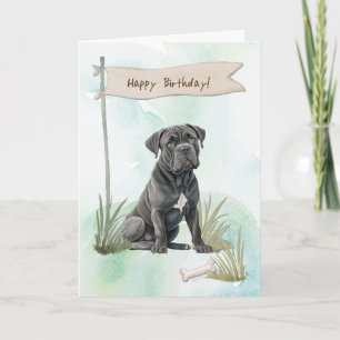 Cane Corso Breed Hond Buiten Onder Verjaardagsbord Kaart