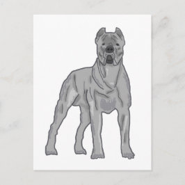 Cane Corso Briefkaart