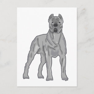 Cane Corso Briefkaart