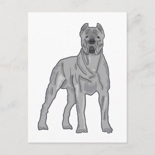 Cane Corso Briefkaart (Voorkant)