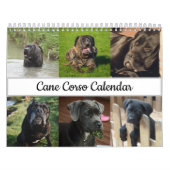 Cane Corso Calendar Kalender (Hoes)