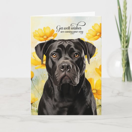 Cane Corso Dog Golden Poppies Get Well Kaart (Voorkant)