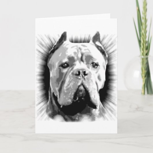 Cane Corso Dog Kaart (Voorkant)