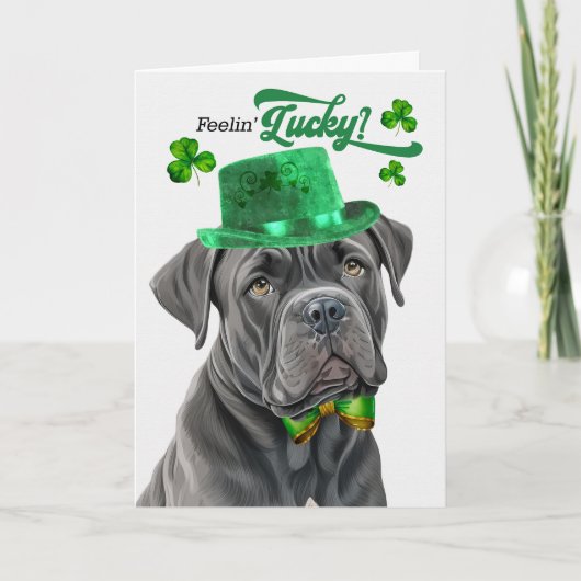 Cane Corso Dog Lucky St Patrick's Day Feestdagen Kaart (Voorkant)