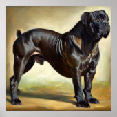Cane Corso Dog Poster (Voorkant)