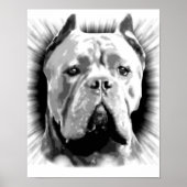 Cane Corso Dog Poster (Voorkant)