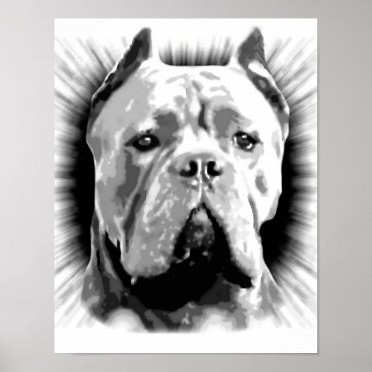Cane Corso Dog Poster (Voorkant)