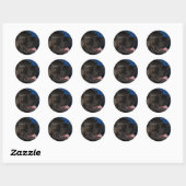 Cane Corso Dog Stickers (Vel)