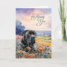 Cane Corso Dog Wildflowers Scenic Vista Miss You Kaart
