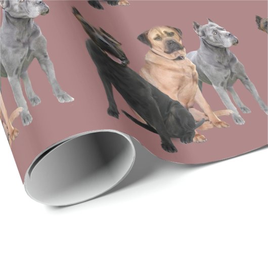 Cane Corso Drie Cadeaupapier (Rol Hoek)