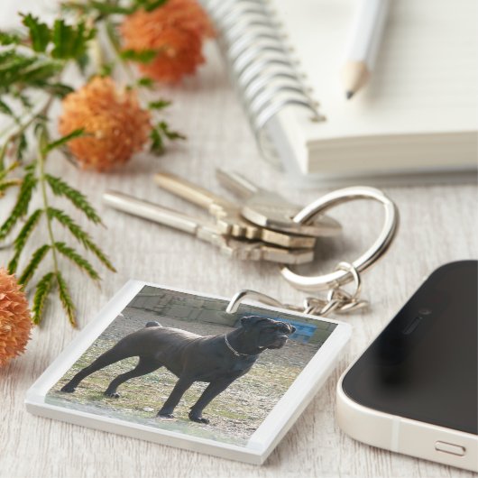 cane corso full.png sleutelhanger (Voorkant Rechts)