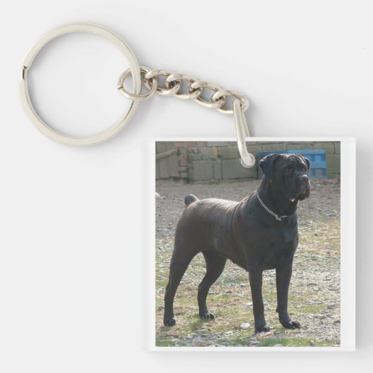 cane corso full.png sleutelhanger (Voorkant)