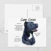 Cane Corso Geschiedenis Briefkaart (Voorkant / Achterkant)