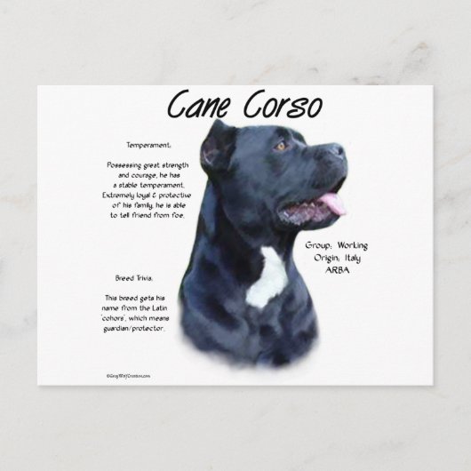 Cane Corso Geschiedenis Briefkaart (Voorkant)