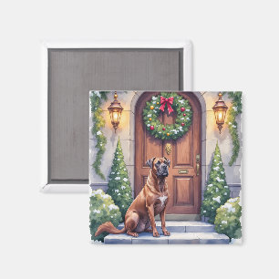 Cane Corso Grote Deur Immergroen Kerst Kunst Magneet