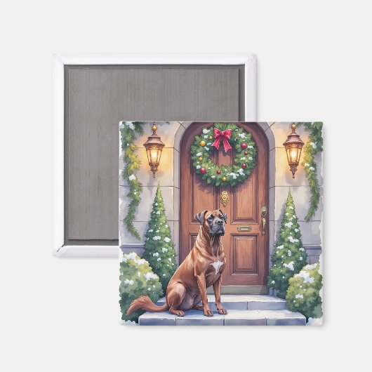 Cane Corso Grote Deur Immergroen Kerst Kunst Magneet (Voorkant / Achterkant)