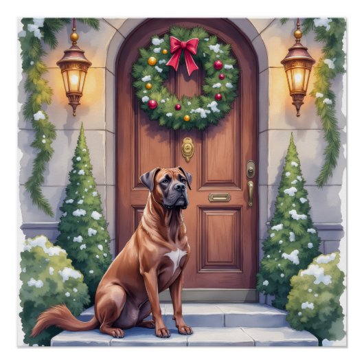 Cane Corso Grote Deur Immergroen Kerst Kunst Perfect Poster (Voorkant)