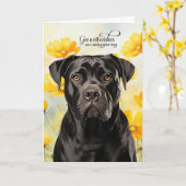 Cane Corso-hond Gouden Klaprozen Beterschap Kaart (Gele Bloem)