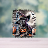 Cane Corso Hond Halloween Acryl Bord (Neutraal)