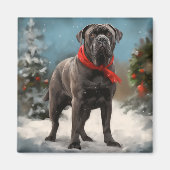 Cane Corso Hond in Sneeuw Kerstmis Magneet (Voorkant)
