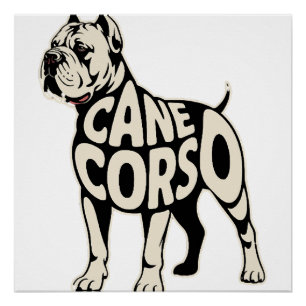 Cane Corso-hond Vetgedrukte typografie Kunst Perfect Poster