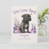 Cane Corso hondenadoptie, Gotcha-dag Kaart (Staand voorkant)