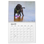 Cane Corso Hondenkalender Kalender (Jan 2027)