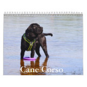 Cane Corso Hondenkalender Kalender (Hoes)