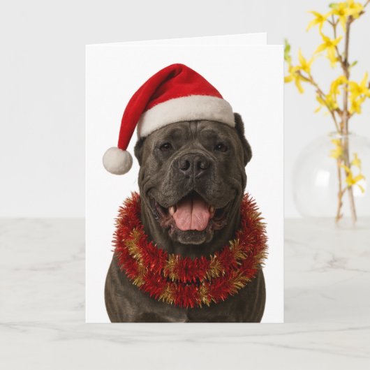 Cane Corso in a Santa hat Christmas card Kaart (Gele Bloem)