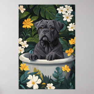 Cane Corso in badkuip poster, grappige hond poster