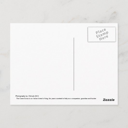 Cane Corso Italiaans Mastiff Briefkaart (Achterkant)