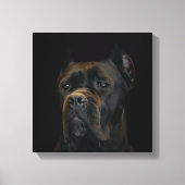 Cane Corso - Italiaans Mastiff Canvas Afdruk (Voorkant)