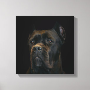 Cane Corso - Italiaans Mastiff Canvas Afdruk
