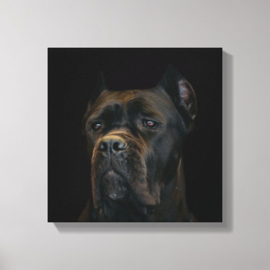 Cane Corso - Italiaans Mastiff Canvas Afdruk (Voorkant)