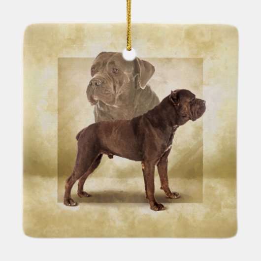 Cane Corso - Italiaans Mastiff Keramisch Ornament (Achterkant)