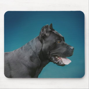Cane Corso - Italiaans Mastiff Muismat