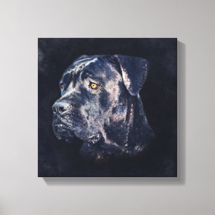 Cane Corso - Italiaans Mastiff-portret Canvas Afdruk