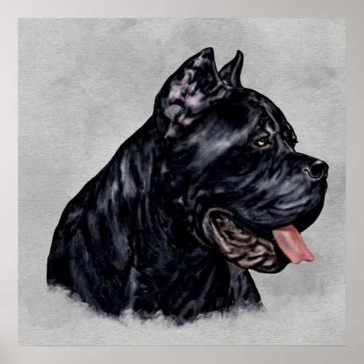 Cane Corso - Italiaans Mastiff-portret Poster (Voorkant)