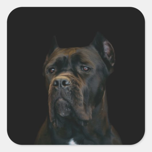 Cane Corso - Italiaans Mastiff Vierkante Sticker (Voorkant)