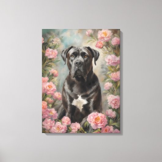 Cane Corso Italiaanse Mastiff Canvas Afdruk (Voorkant)