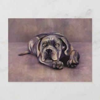 Cane Corso - Italiaanse Mastiff Puppy Briefkaart