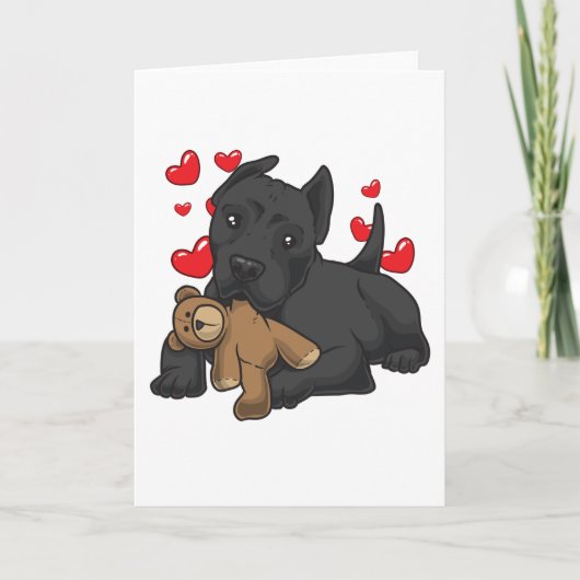 Cane Corso Italiano met opgevuld dier Kaart (Voorkant)