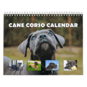 Cane Corso Kalender (Hoes)