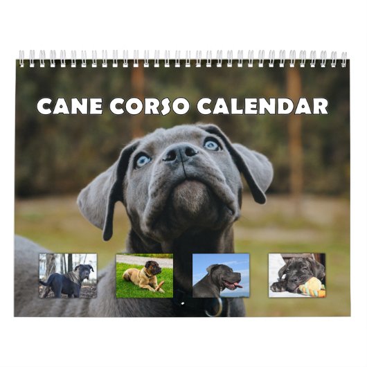 Cane Corso Kalender (Hoes)