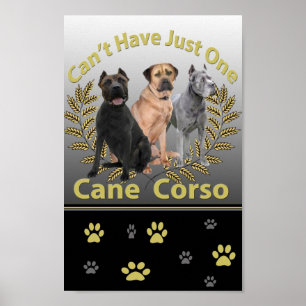 Cane Corso kan niet slechts één Poster en Print he