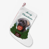 Cane Corso Kerstmis Kleine Kerstsok (Voorkant (Hangend))